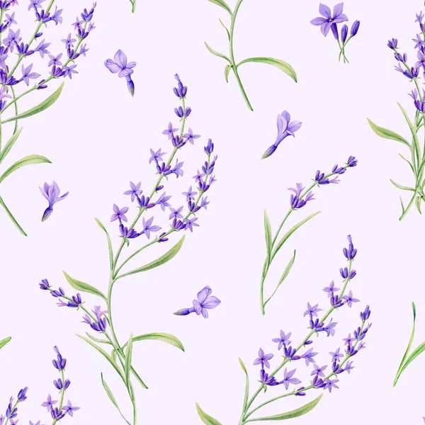 Kusursuz Lavanta Çiçeği Deseni Lavanta Ile Suluboya Deseni Güzel Çizimi — Stok fotoğraf