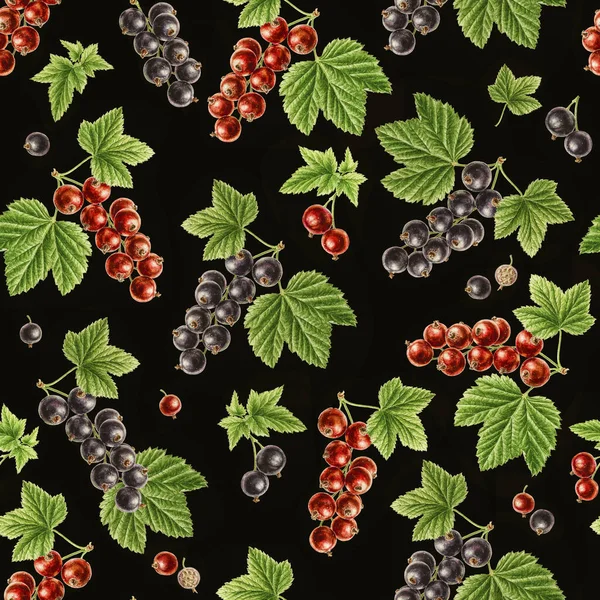 Φθινόπωρο Χρόνο Κήπο Blackcurrant Redcurrant Υδατογραφία Αδιάλειπτη Μοτίβο Μαύρο Φόντο — Φωτογραφία Αρχείου