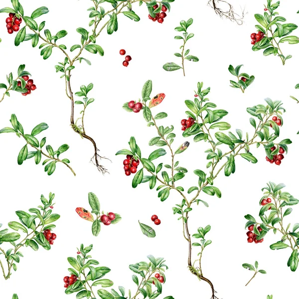 Autumn Time Forest Cowberry Watercolor Seamless Pattern White Background Beautiful — Stock Photo, Image