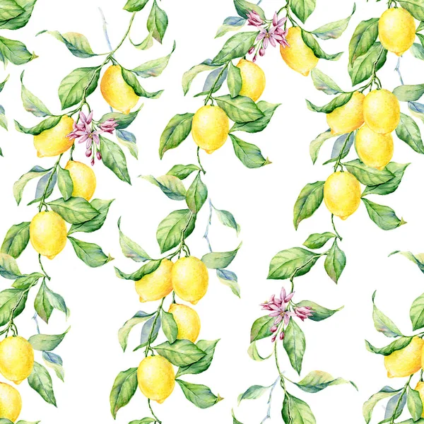 Lemon Acquerello Modello Senza Soluzione Continuità Bella Trama Disegnata Mano — Foto Stock