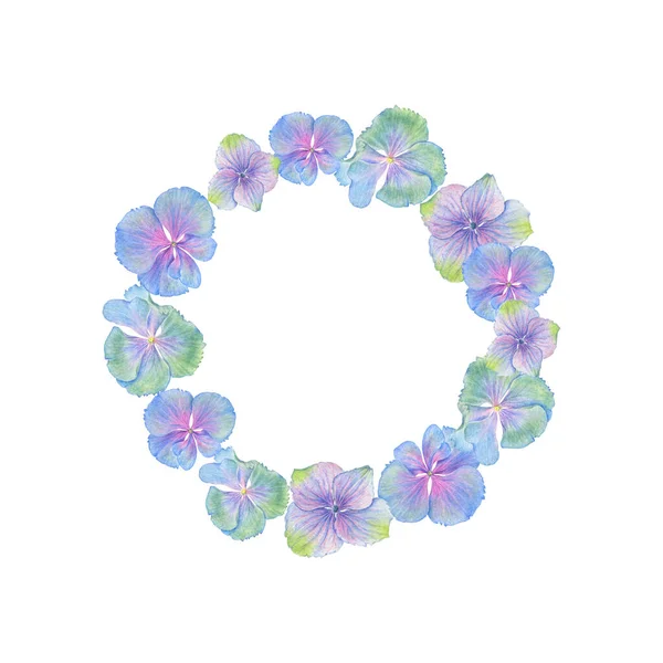 Watercolor Hydrangea blossom frame on white background. Summer Floral wreath with natural blossom flowers. — Stock Photo, Image