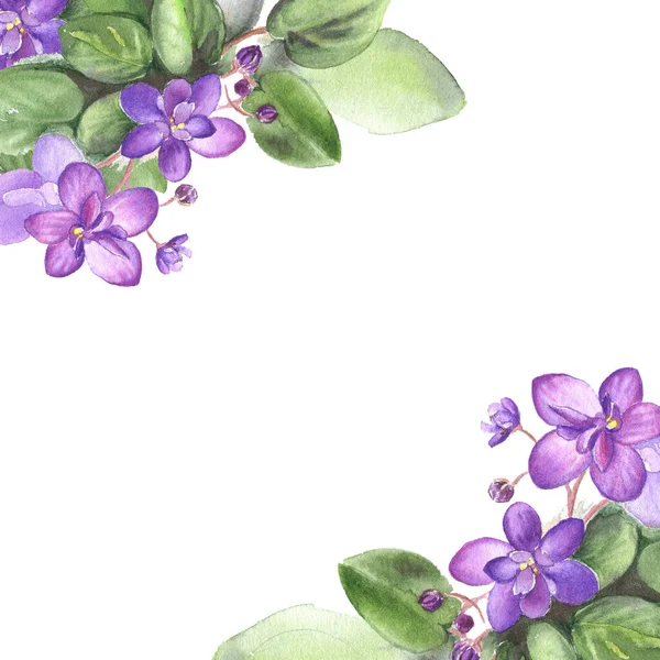 Carte aquarelle de fleurs violettes africaines dessinée à la main. Illustration pour votre design. — Photo