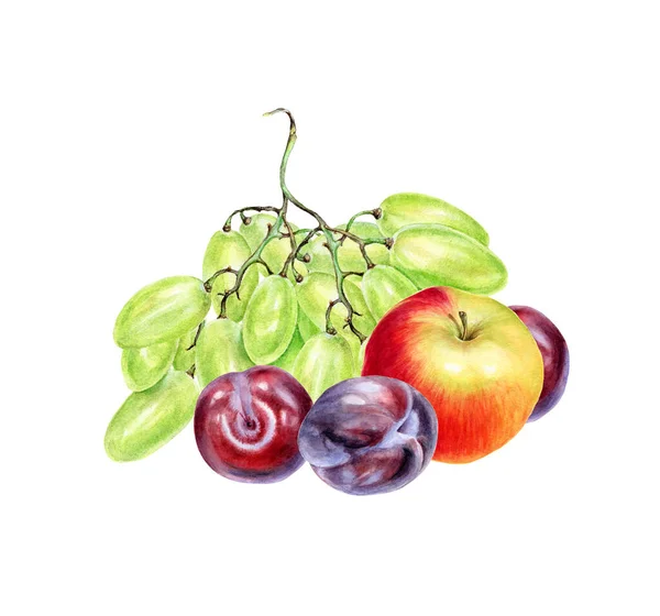 Ręcznie Rysowane Akwarela Ilustracja Różnych Świeżych Owoców Letnich Izolowanych Białym — Zdjęcie stockowe
