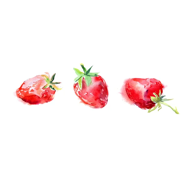 Acuarela Dibujada Mano Ilustración Fresas Frescas Vector Aislado Sobre Fondo — Archivo Imágenes Vectoriales