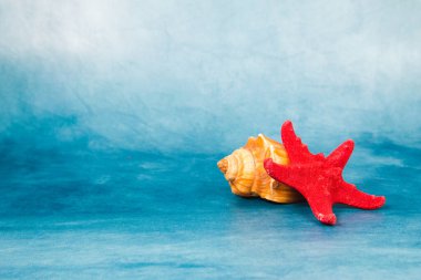 Mavi arka planda deniz kabuğu ve deniz yıldızı