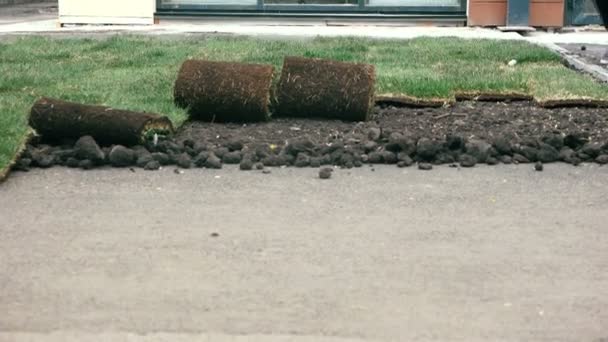 Landscaping specialists bring grass in rolls to the laying site for further work. Lawn improvement work with grass — Stock Footage Landscaping Specialists Bring Grass Rolls Laying Site Further Work Lawn Stock Footage
