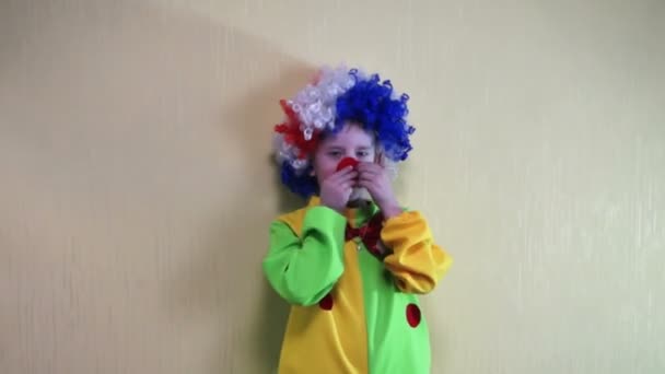 A playful Caucasian boy in a clown costume in a wig puts on a false nose and then throws it jokingly. — Stock Footage Playful Caucasian Boy Clown Costume Wig Puts False Nose Throws Stock Video