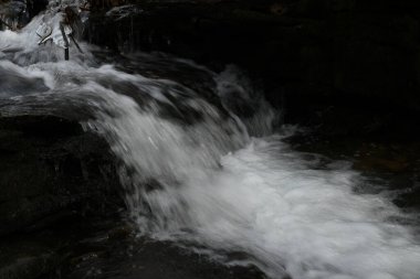 Maggie Vadisi, Kuzey Carolina 'da kış. 
