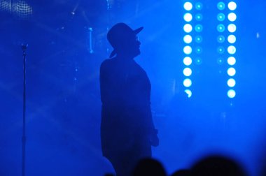 Christian Rock Bands Audio Adrenaline ve Kutless 23 Mart 2014 'te Osceola Sahne Sanatları Merkezi Kissimmee, FL' de sahne almaktadır..