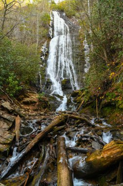 Maggie Vadisi, Kuzey Carolina 'da kış.