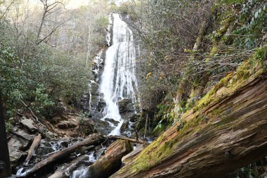 Maggie Vadisi, Kuzey Carolina 'da kış.