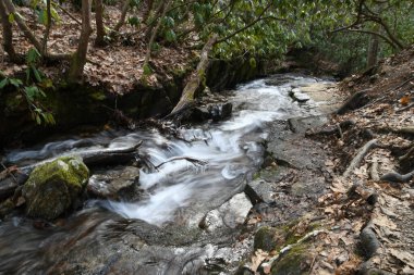 Maggie Vadisi, Kuzey Carolina 'da kış. 