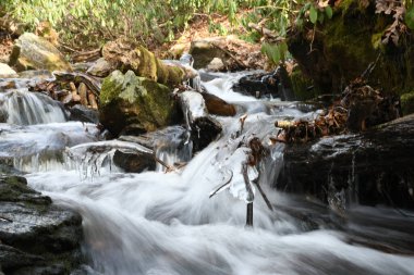 Maggie Vadisi, Kuzey Carolina 'da kış. 
