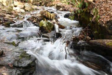 Maggie Vadisi, Kuzey Carolina 'da kış.