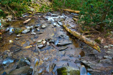 Maggie Vadisi, Kuzey Carolina 'da kış.