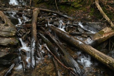Maggie Vadisi, Kuzey Carolina 'da kış.