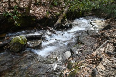 Maggie Vadisi, Kuzey Carolina 'da kış. 