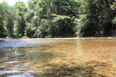 Belize 'deki Güzel Mağara Belize Şehri 27 Mayıs 2014.  