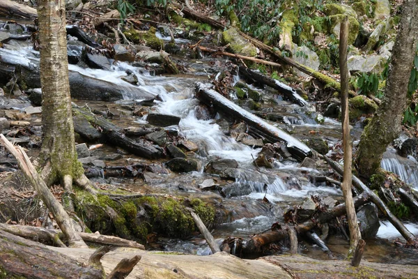 Invierno Maggie Valley Carolina Del Norte — Foto de Stock