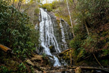 Maggie Vadisi, Kuzey Carolina 'da kış.
