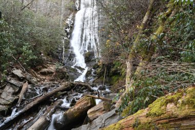 Maggie Vadisi, Kuzey Carolina 'da kış.