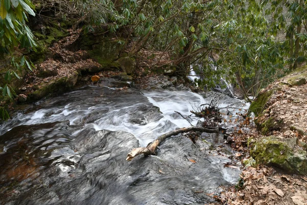 Winter Maggie Valley Noord Carolina — Stockfoto