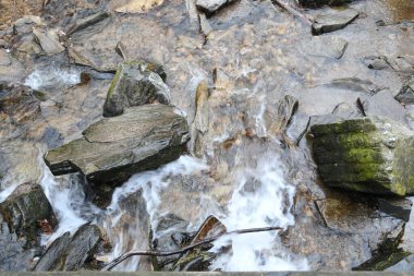 Maggie Vadisi, Kuzey Carolina 'da kış.