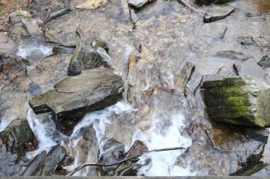 Maggie Vadisi, Kuzey Carolina 'da kış.