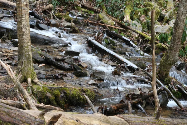 Winter Maggie Valley Noord Carolina — Stockfoto