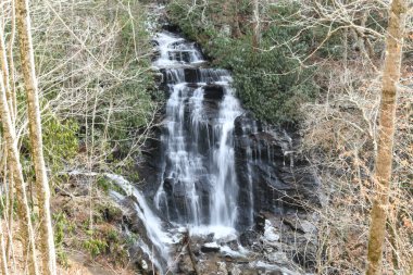 Maggie Vadisi, Kuzey Carolina 'da kış.  