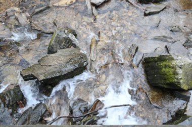 Maggie Vadisi, Kuzey Carolina 'da kış.