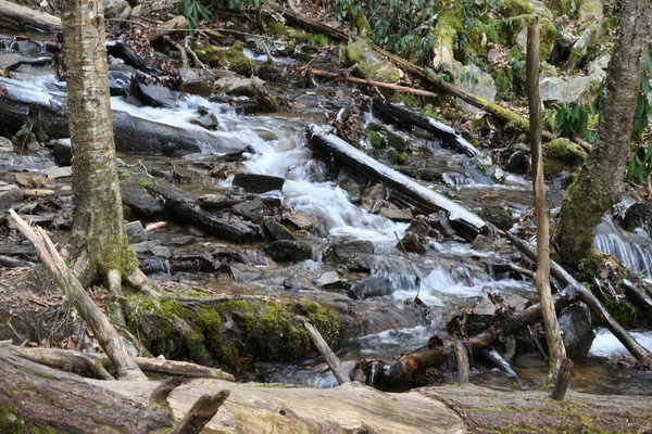 Invierno Maggie Valley Carolina Del Norte — Foto de Stock