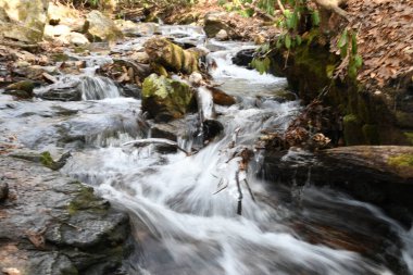 Maggie Vadisi, Kuzey Carolina 'da kış.