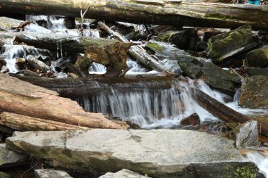 Maggie Vadisi, Kuzey Carolina 'da kış.