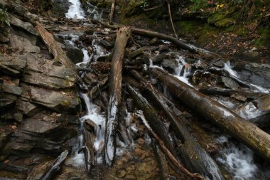 Maggie Vadisi, Kuzey Carolina 'da kış.