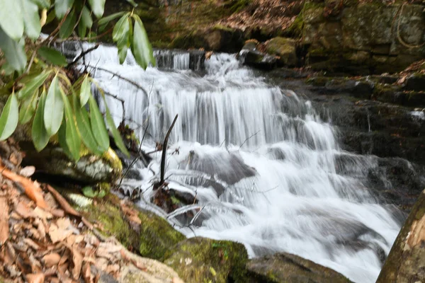 Zima Maggie Valley Severní Karolína — Stock fotografie