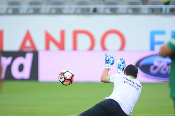 Boliwia Twarz Panama Podczas Copa American Centenario Orlando Floryda Camping — Zdjęcie stockowe