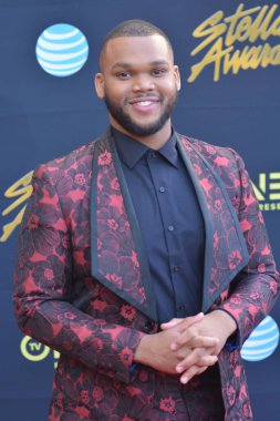 24 Mart 2018 Cumartesi günü Las Vegas 'taki Orleans Resort' ta düzenlenen 33. Yıldız Ödülleri Kırmızı Halı sırasında ünlüler.