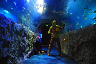 30 Ağustos 2016 'da Orlando Florida' daki güzel Orlando Eye 'daki Cirque du Soleil gösterisi.