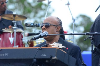 Stevie Wonder, Başkan Barack Obama 'nın 6 Kasım 2016' da Kissimmee Florida 'da başkanlık adaylığını destekleyen mitinginde performans sergiliyor..