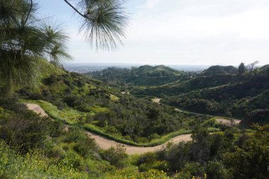 Los Angeles tepelerinin manzarası, tepelerin arasındaki yollar.