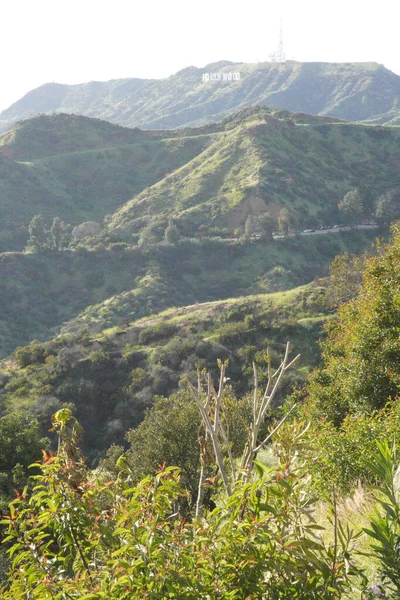 Pohled Los Angeles Kopce Silnice Mezi Kopci Hollywood Hill — Stock fotografie