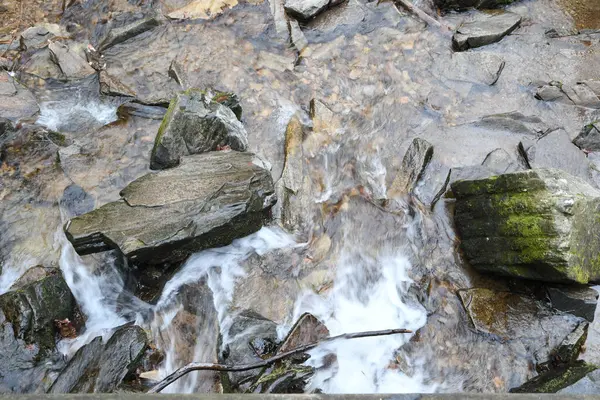 Maggie Vadisi, Kuzey Carolina 'da kış