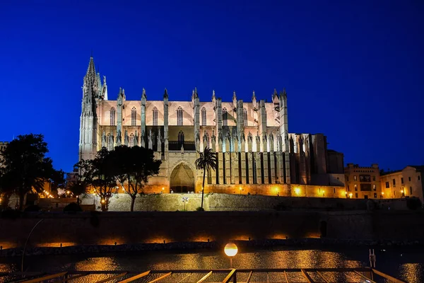 Palma De Mallorca İspanya 'daki Palma Kilisesi' nin gece manzarası