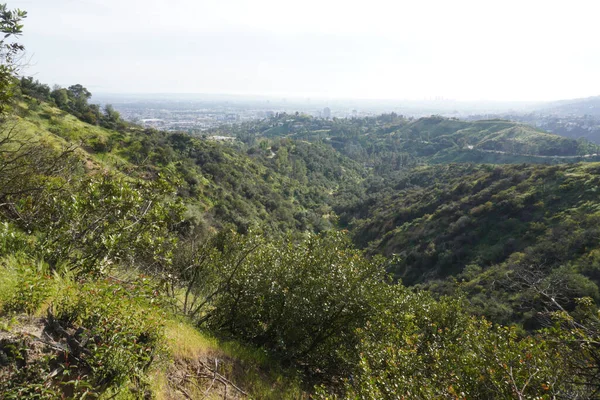 View of Los Angeles hills,  roads between hills and cityscape