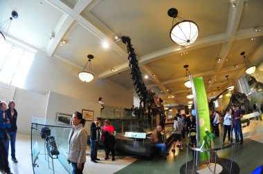 22 Mayıs 2016 'da New York' un geniş açı görüntüsü.  