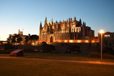 Palma De Mallorca İspanya 'daki Palma Kilisesi' nin gece manzarası