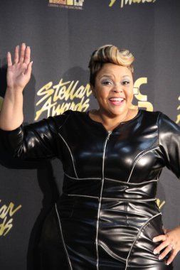 18 Ocak 2014 'te Nashville Tennessee' de düzenlenen 29..  