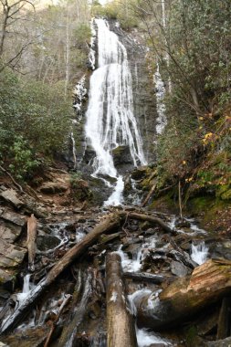 Maggie Vadisi, Kuzey Carolina 'da kış