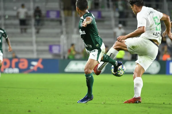 Florida Cup 2020 Palmeiras Partido Atlético Nacional Exploria Stadium Orlando — Foto de Stock